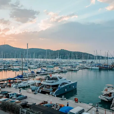 Harbour 2*