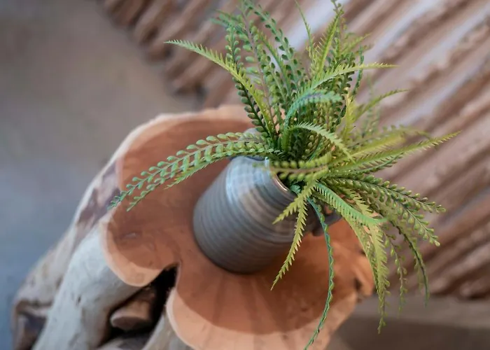 酒店 Harbour 费特希耶