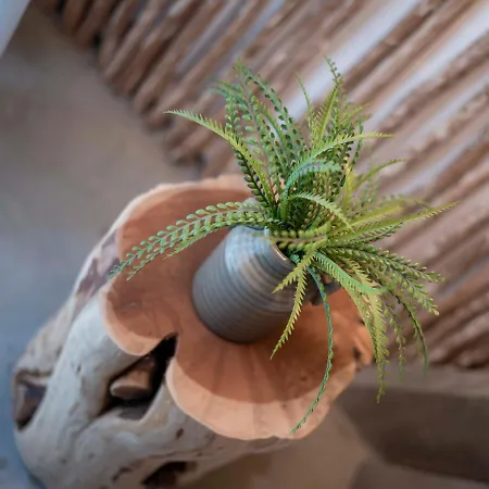 호텔 Harbour 페티예